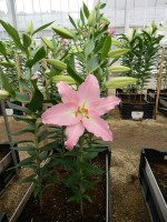 [5577 VH07 No01.JPG]